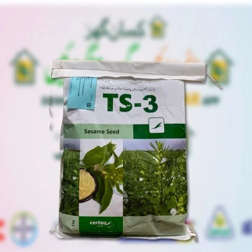 Sesame Seed TS-3