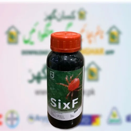 SixF MEIMAN