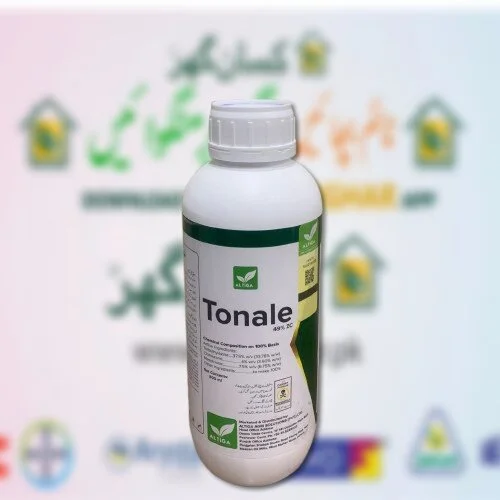 TONALE