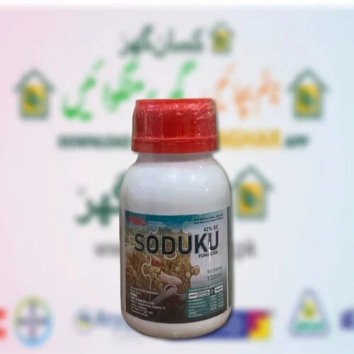 Soduku